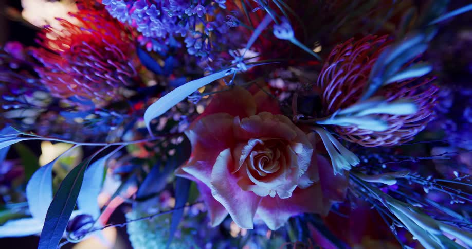 Vivid pink and blue flowers create complex floral arrangement