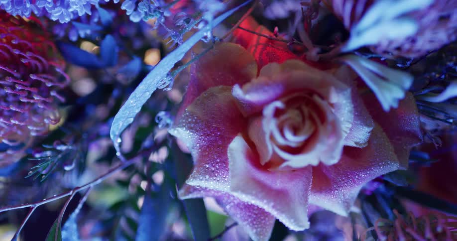 Close up view of flowers in a bouquet is displayed