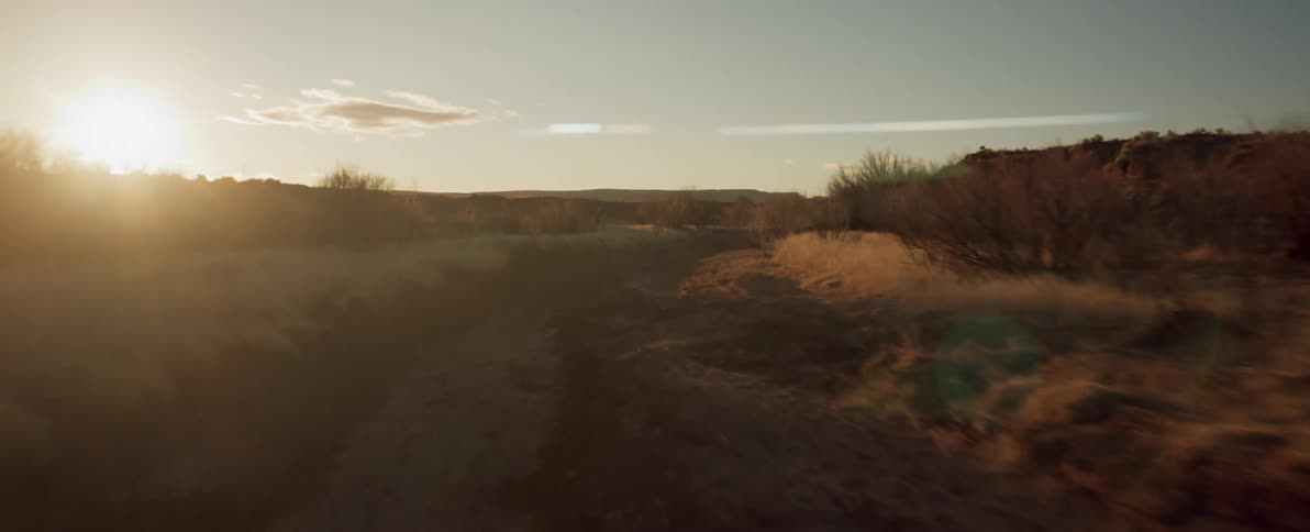 A dirt road runs through a field with overgrown weeds