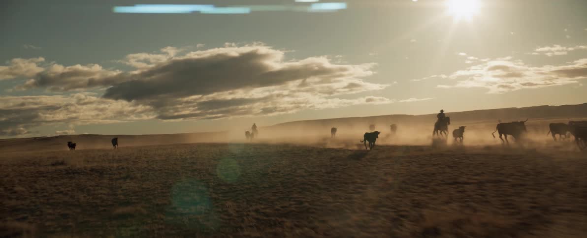 A group of cowboys herd cattle across a dusty grassland during the day