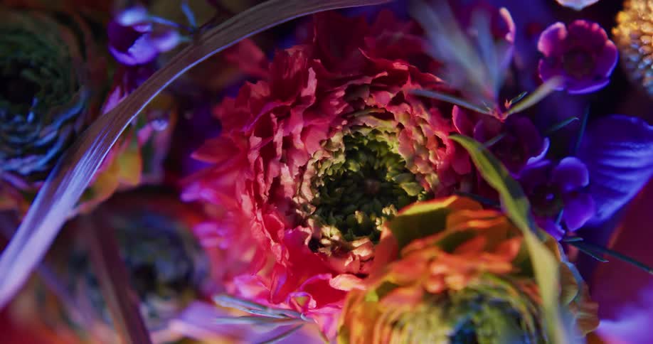 Top down twisting footage of flowers in a bouquet under colorful lights