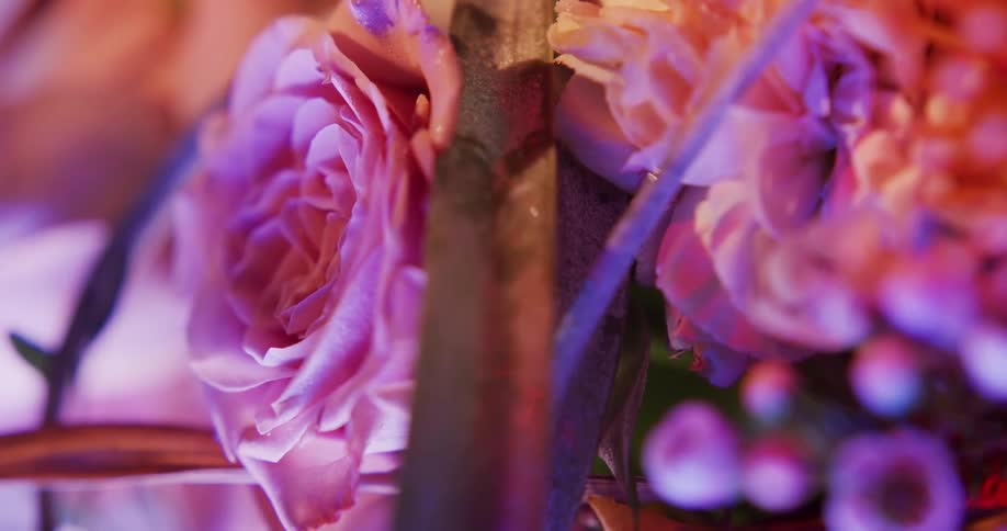 Blooming flowers in a pot outside