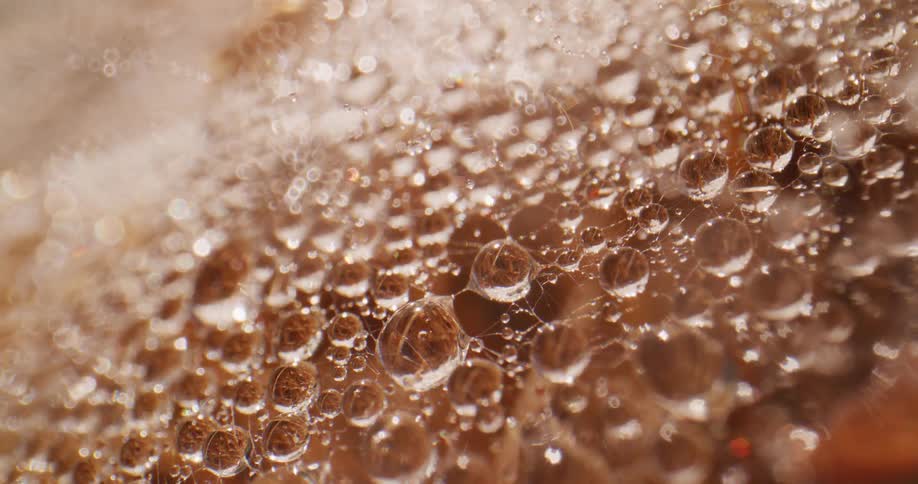 Extreme close up of water droplets resting over a spiderweb under the rain