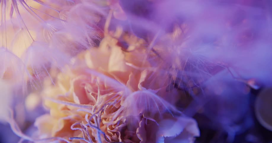 Top down twisting footage of flowers in a bouquet under colorful lights