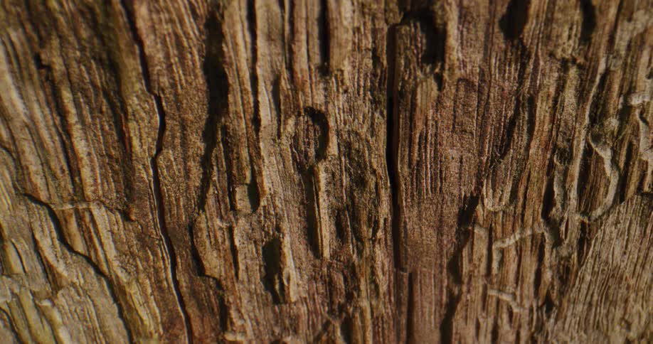 Ridges show where rock has broken away from a cliff