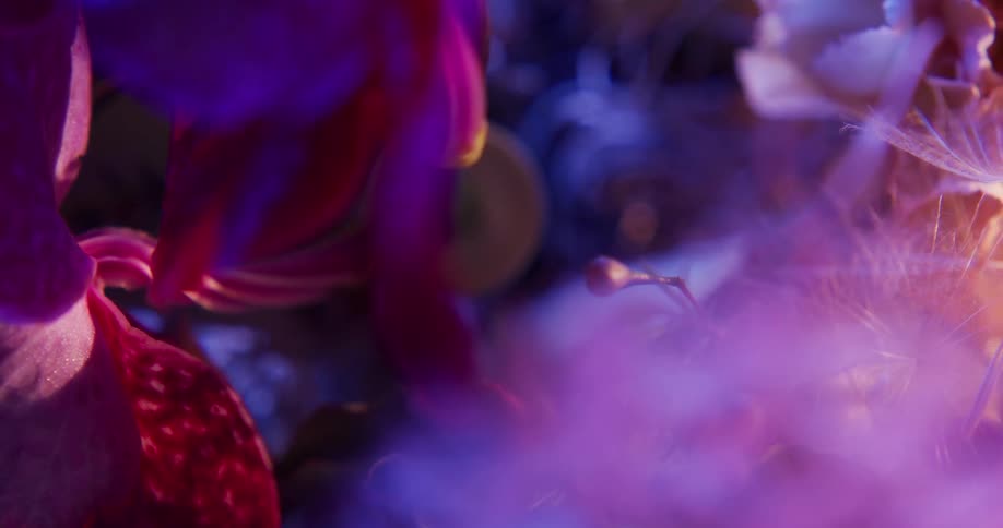 Top down twisting footage of flowers in a bouquet under colorful lights