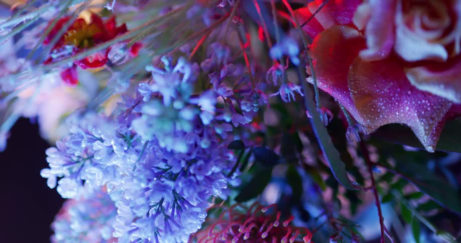 Vivid flowers in blue and pink form elaborate floral arrangement