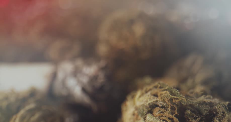 Marijuana is on display