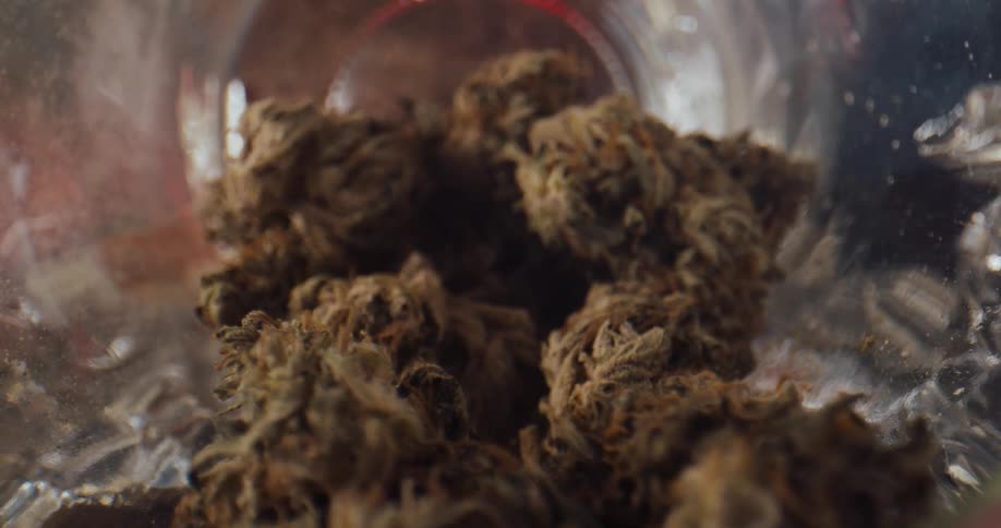 Marijuana buds with a lot of red hairs are inside a jar