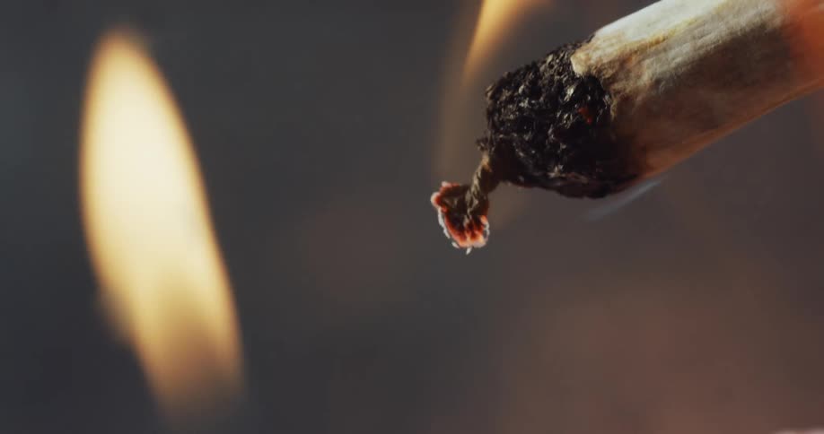 Close up of the tip of a marijuana cigarette being lit with a match