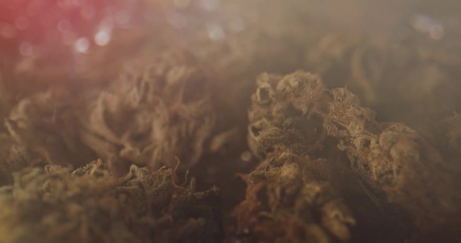A cigarette sits next to a pile of marijuana buds