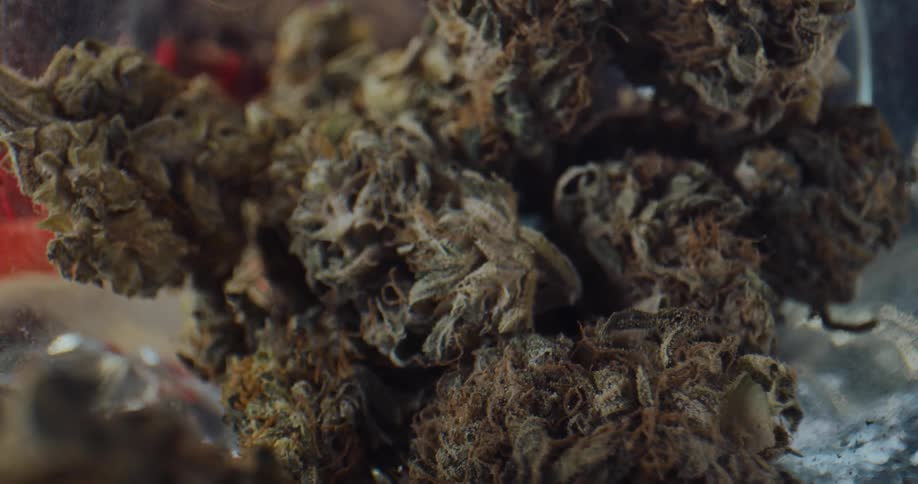 Marijuana buds with a lot of red hairs are inside a jar