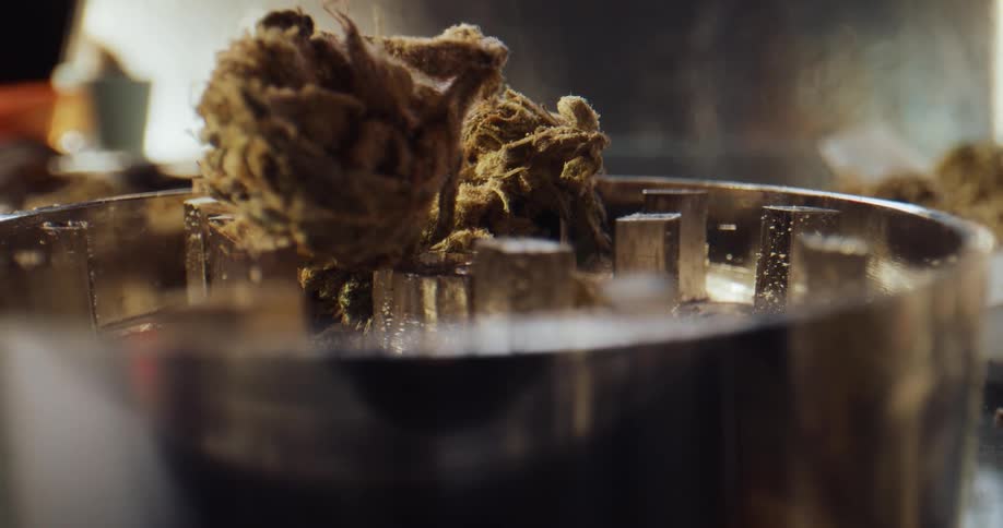 A persons fingers can be seen dropping pieces of a marijuana bud into a grinder and bringing down the lid