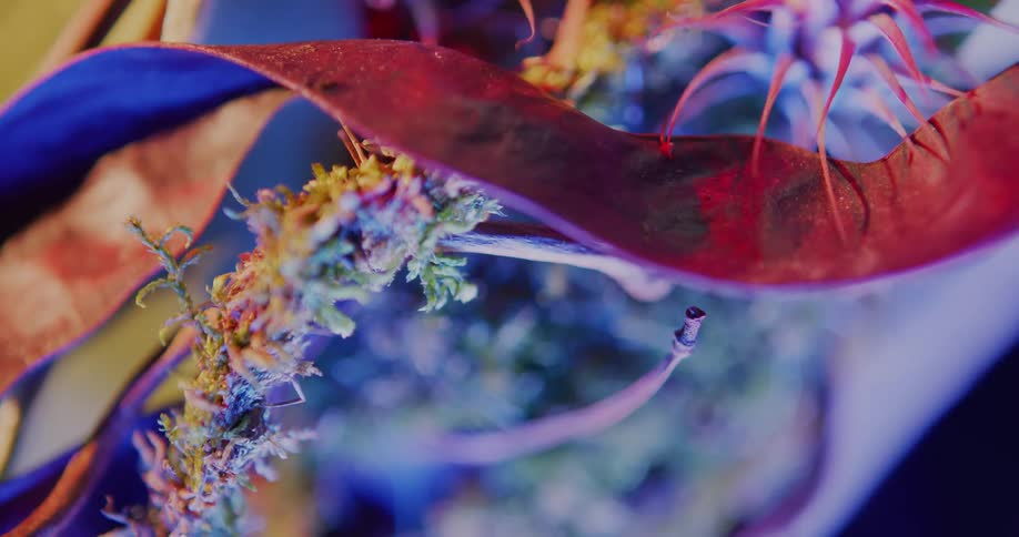 A floral bouquet has a ribbon running through it