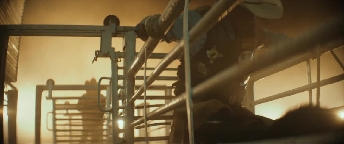 A man climbs into a cattle corral to help an animal