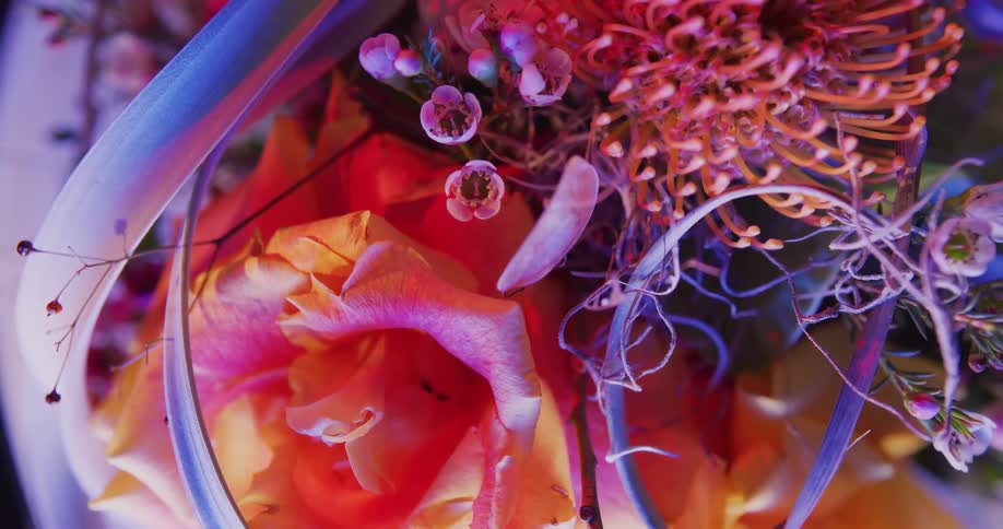 Vivid flowers create floral arrangement in purple pink and orange