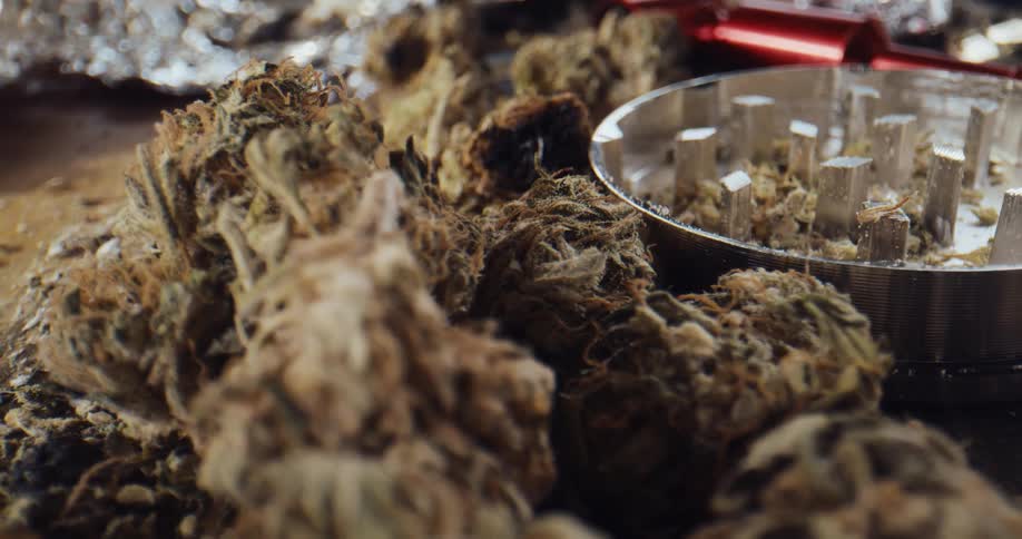 A view of weed next to a grinder
