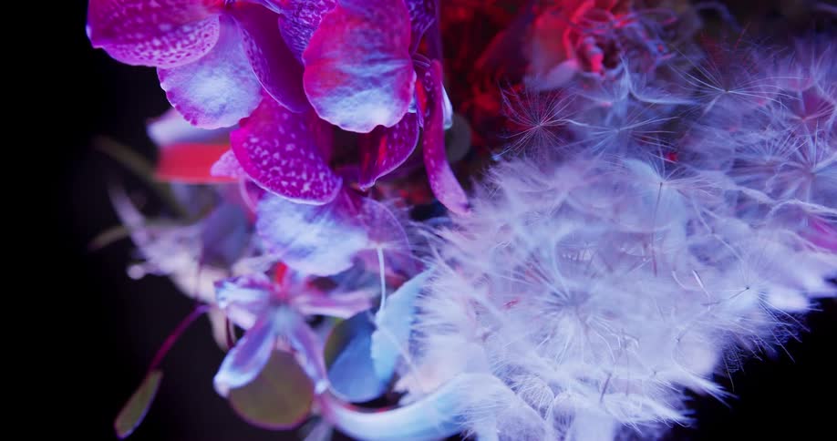 A bouquet of flowers are displayed on the screen
