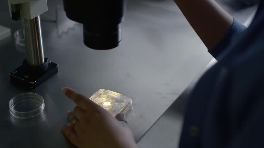 A woman puts a slide on a light under a microscope
