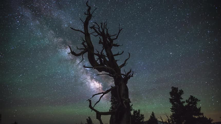 The stars in the milky way shine brightly as they move across the sky behind trees and a green aurora borealis