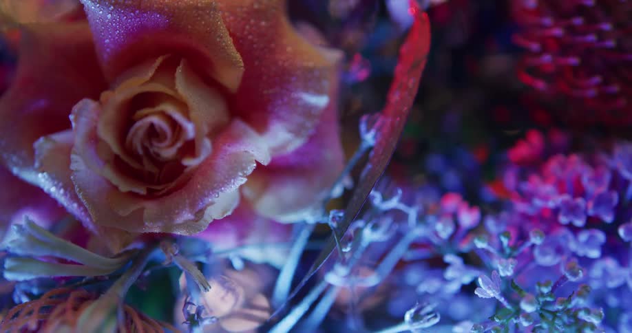 Water droplets sit on petals of flowers in elaborate floral arrangement