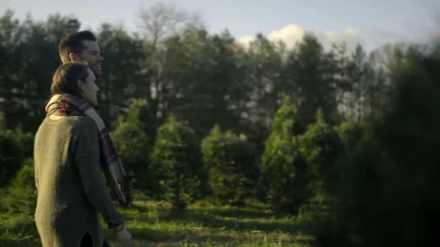 A man and woman walk through a pine tree farm