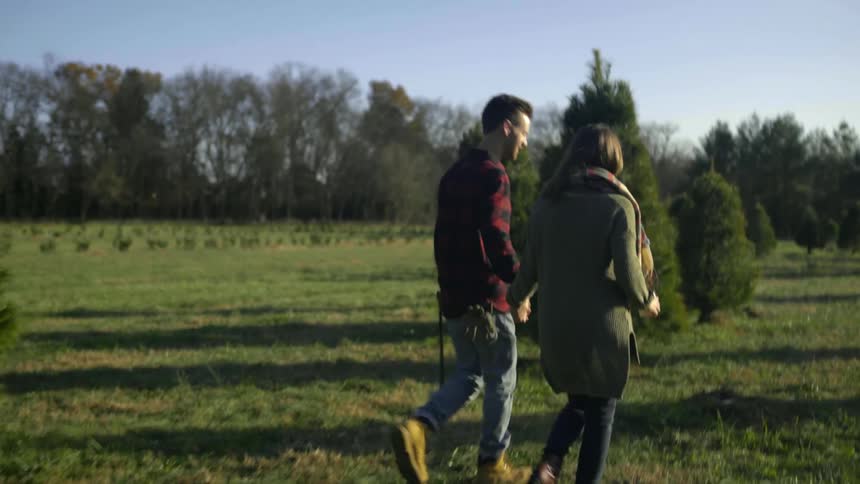 A man and woman hold hands on a tree farm