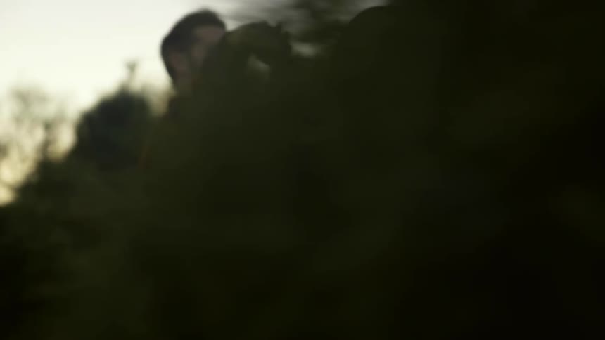A man and woman hold hands on a christmas tree farm