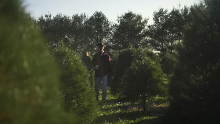 A couple is walking through a christmas tree farm