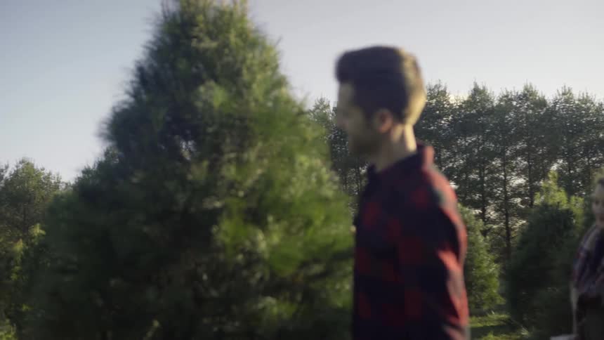A couple are walking through a tree farm and picking out a christmas tree