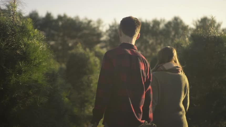 A couple are picking out a christmas tree at a tree farm during the day