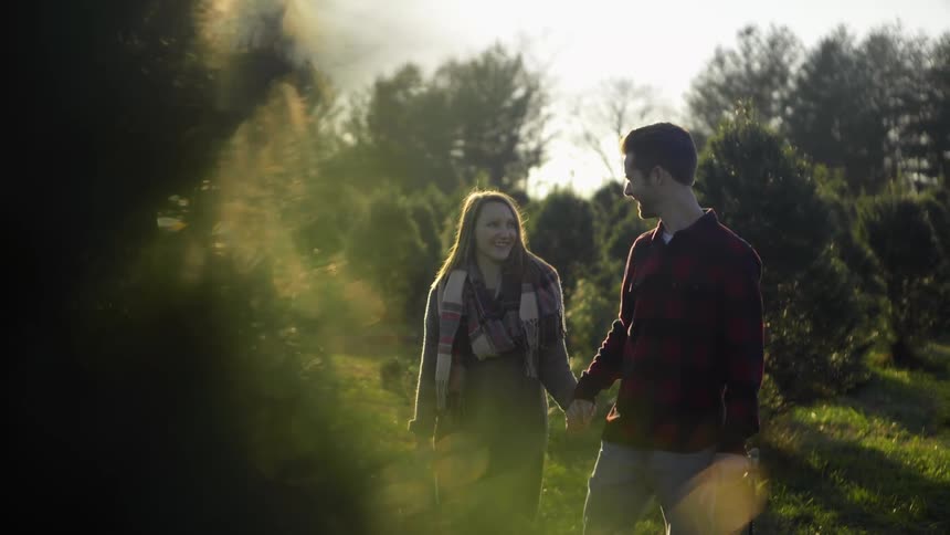 A man and woman hold hands on a christmas tree farm
