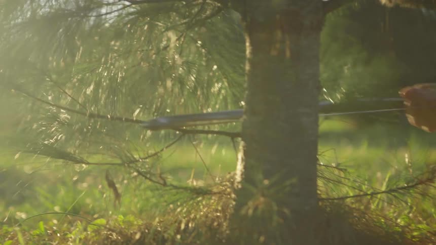 Man uses a saw to cut down a tree