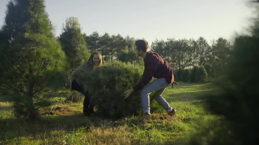 A man and woman cut down a tree on a christmas tree farm
