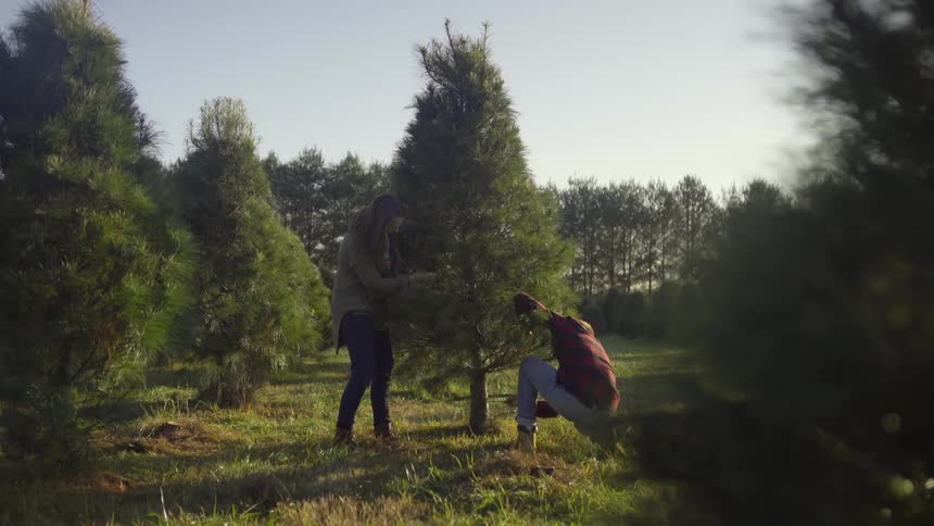 A man and woman cut down a tree on a christmas tree farm