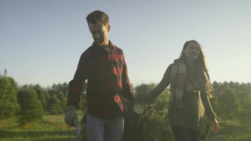 A couple is smiling as they haul a christmas tree out of a field