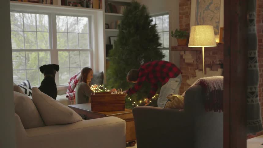A dog is watching as a couple decorates the christmas tree