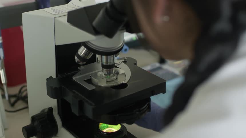 A woman looks at something in a microscope