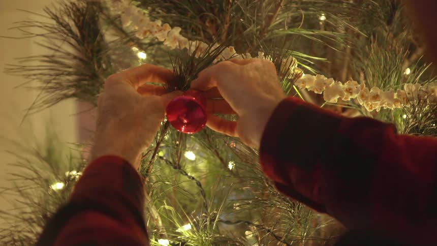 A man hangs an ornament on a christmas tree