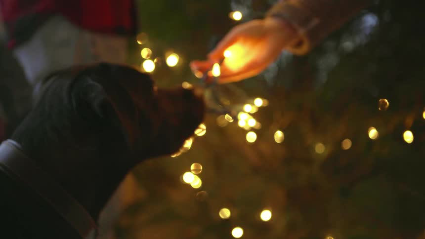 A dog sniffs at the Christmas lights in his owner's hand