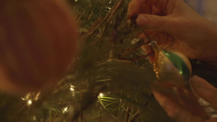 Ornaments are hung on a christmas tree