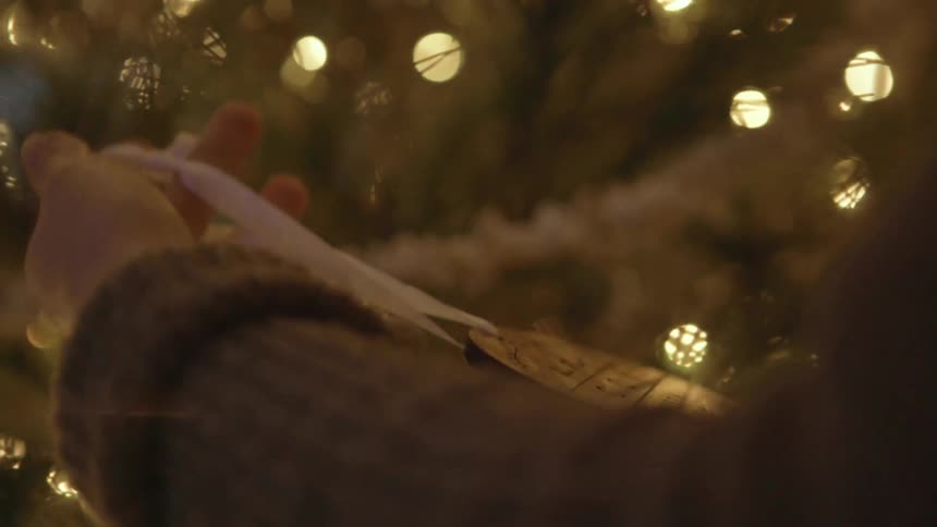 A person holds an ornament next to a christmas tree