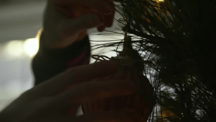A christmas ornament is hung on a tree