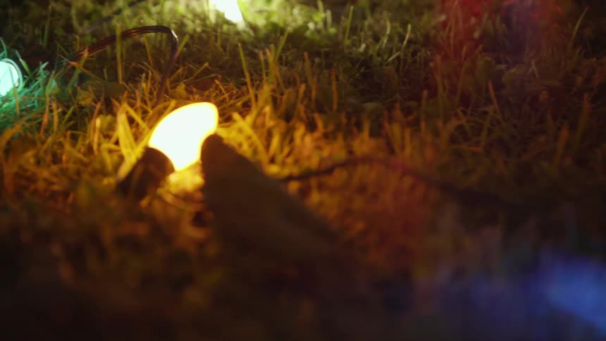 Christmas lights glow on a grassy lawn