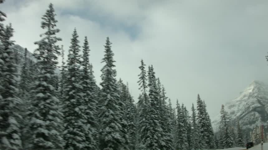 Snow covered trees and mountains on an overcast day