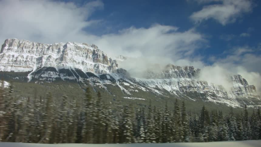 Driving pass tall evergreen trees with a backdrop of large mountains