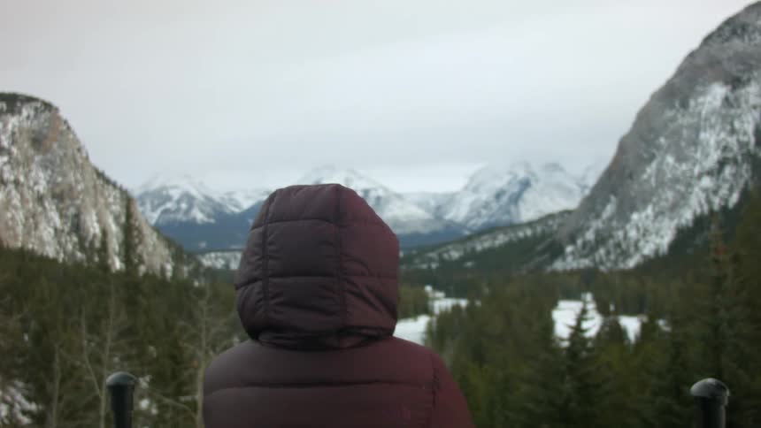 A person in a coat looks at snow covered mountains
