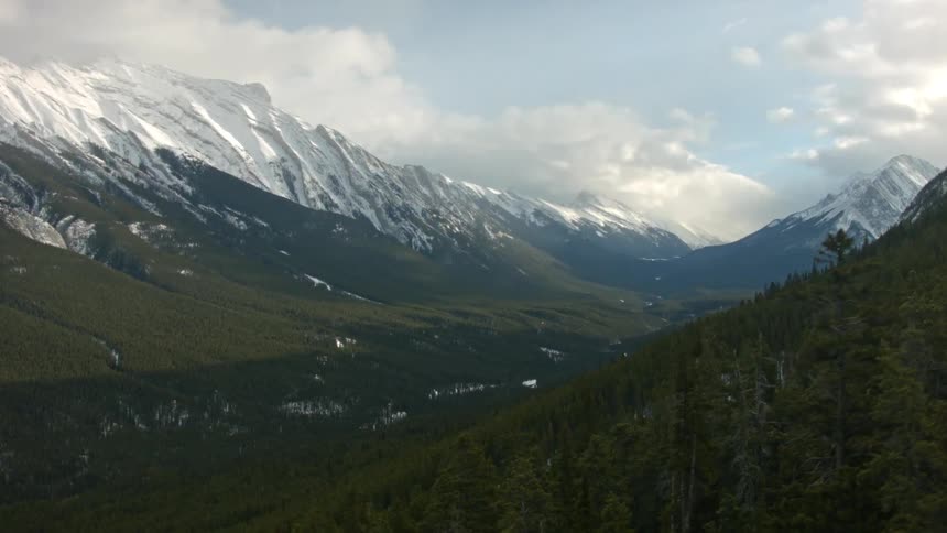 Snow covered mountains and forests in the daytime