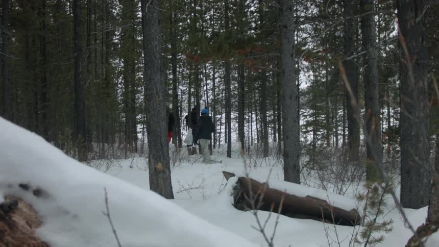 A group of 4 people walk through a snowy forest setting