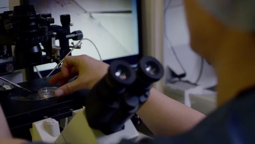 A person places a dish on a microscope